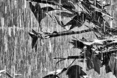 Lynne-Owen-Downpour-9.5