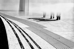 DSC00769 cropped FLATTENED