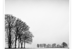 Gordon-Gentles-Winter-Trees-Study-10