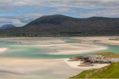 Colin-Bullimore-Sheep-with-a-View-10.0