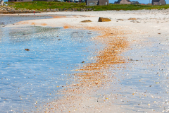 Colin-Bullimore-Mussel-Beach-at-Hougharry-9.5