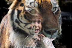 Nikki-Holden-Love-at-First-Sight-9