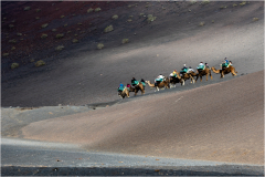 Mike-Taylor-Camel-Train-9.5