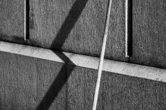 Brian-Muir-Brush-and-Wall-10