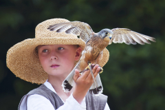 Gary-Howes-No-Glove-Required-9.5