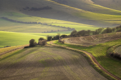 Richard-Paterson-Winter-Greens-9.5