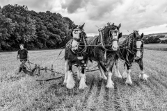 Vivien-Ruddock-Turning-the-Plough-West-Stoke-9