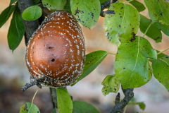 1st Intermediate Print Competition 2023-24