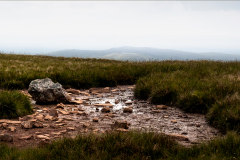 Amanda-Patton-The-Philosophers-Stone-9