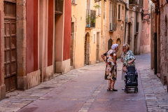 David-Pritchard-Heated-Discussion-9.0