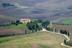 Sandra-James-Tuscan-Textures-9.5