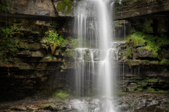 Jim-Munday-Summerhill-Force-9