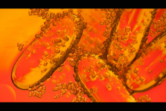 Jim-Waddington-Deceased-Maybe-9