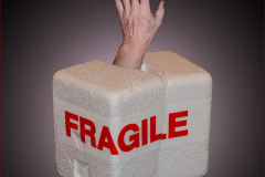 Keith-Sawyer-Fragile-9.5