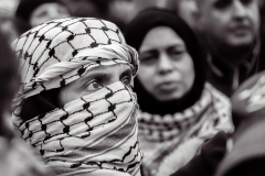 Brian-Muir-Solidarity-9.5