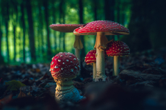 Clifford-Thomas-Speckles-Makes-a-Run-for-It-10.0