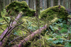 David-Harris-Soft-Landing-for-the-Mighty-Fallen-9