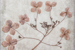 Lorna-Brown-Ephemeral-10