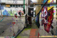 DSC09877 cropped dex v2