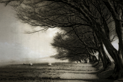 Michael-Palmer-Dartmoor-10