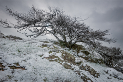 Richard-Paterson-Exposed-10