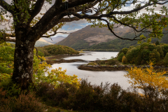 Lorna-Brown-Loch-Leven-9.0