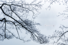 Lorna-Brown-Winter-Filigree-9.0