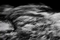 DSC09665 cropped mono