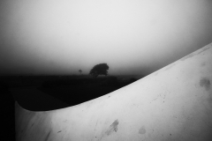 DSC01789 CROPPED B&W PROAM CCC