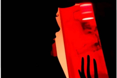 Lolly-Vincent-Towards-the-Red-10