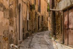 David-Pritchard-Dog-Days-10