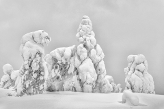 Clive-Blott-A-Family-Outing_-9.0