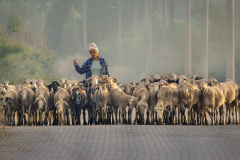 Julia-Wainwright-Roadblock-9.5