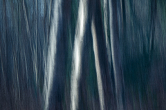 Clifford-Thomas-Silver-Rhythm-9.5