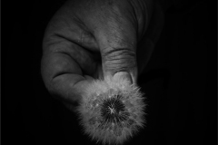 Peter-Jones-I-Picked-It-Just-for-You-10.0