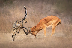 Julia-Wainwright-Fight-for-Life-10