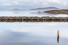 Lorna-Brown-Harris-High-Tide-9.5