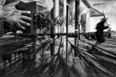 Michael-Palmer-Grab-Shot-9