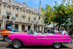 Phoebe-Hamilton-Cadillac-Taxi-and-Drivers-9