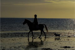 Lesley-Garwood-Evening-Ride.with-the-Dog-10