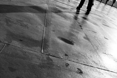 Lolly-Vincent-Looking-West-9