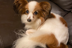 Carmel-Lynch-Ellie-9.5