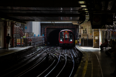 Kevin-Macknay-Homeward-Bound-9