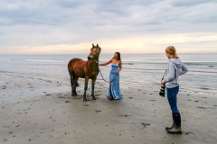 Vivien-Ruddock-Sea-Horse-10