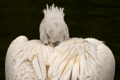 Chris-Worsley-Keeping-Warm-9