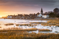 Richard-Paterson-Black-Swan-9