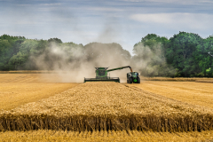 Chris-Worsley-Harvest-9