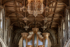 Michael-Harris-The-Nave-Ceiling-St-Davids-Cathedral-10