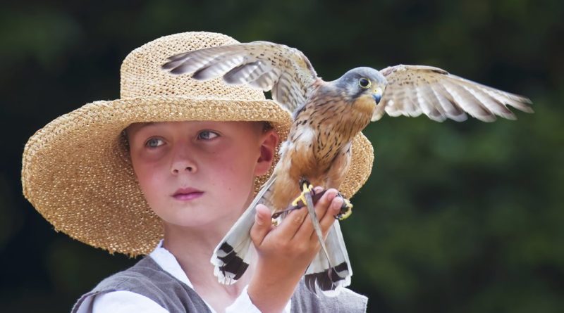 This image has an empty alt attribute; its file name is Gary-Howes-No-Glove-Required-9.5-1024x683.jpg