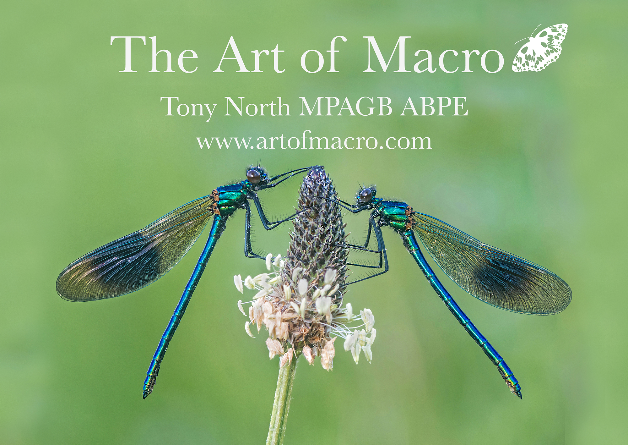 Image from Tony North